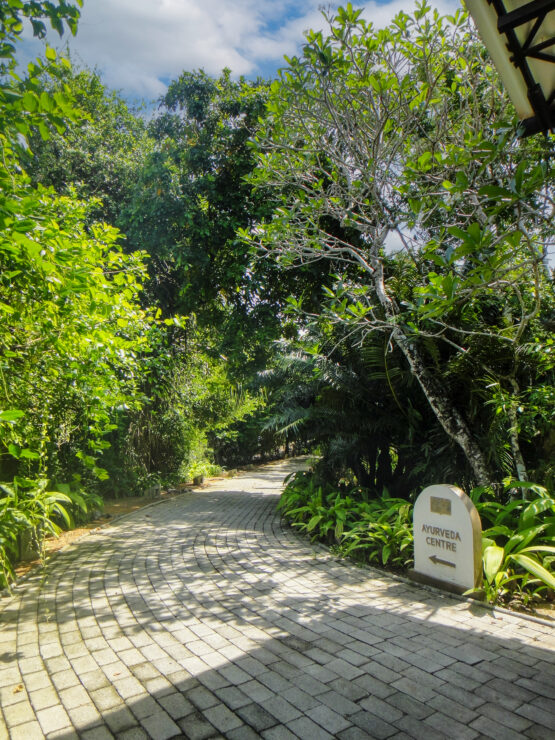 Path leading to the building where Ayurveda treatments are performed